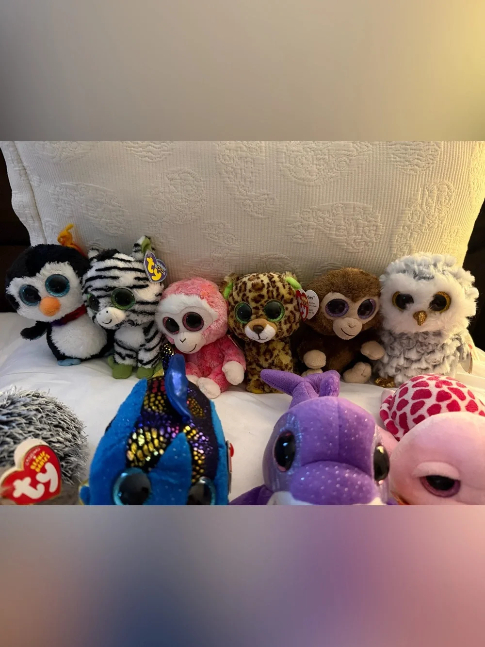Ty Beanie Plush Collection